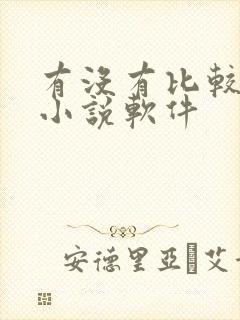 有没有比较好的小说软件