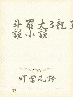 斗罗大3龙王传说小说