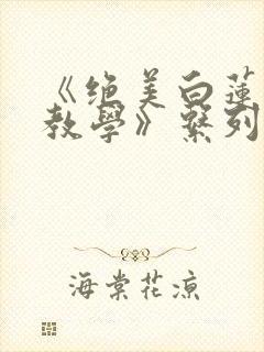 《绝美白莲在线教学》系列小说