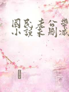 国民老公带回家小说未删减