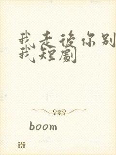 我走后你别再想我短剧