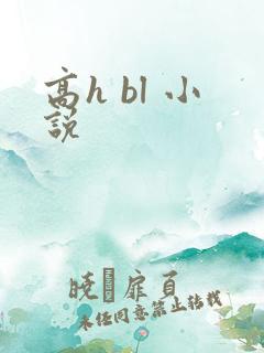 高h bl 小说