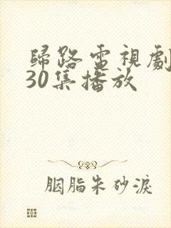 归路电视剧全集30集播放