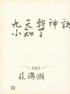 九天斩神诀作者小知了