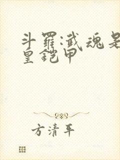 斗罗:武魂是帝皇铠甲