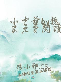 小少爷by魏丛良免费阅读全文