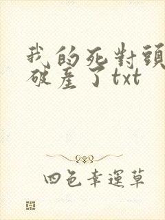 我的死对头终于破产了txt