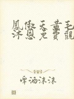 凤傲天黄毛反派沐恩免费观看