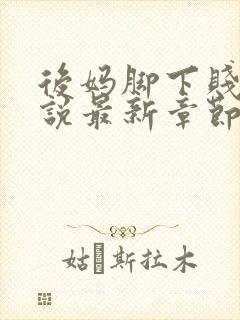 后妈脚下贱狗小说最新章节免费阅读