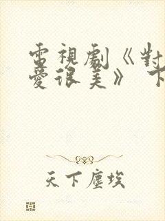 电视剧《对你的爱很美》 下载