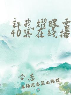 许我耀眼电视剧40集在线播放免费