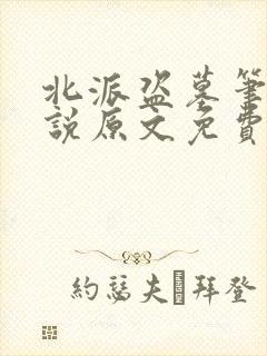 北派盗墓笔记小说原文免费阅读