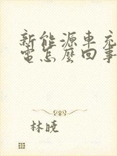 新能源车充不进电怎么回事