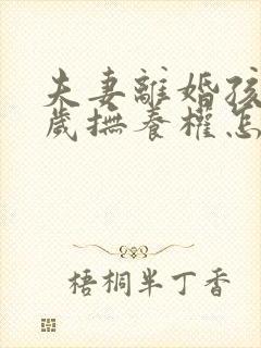 夫妻离婚孩子9岁抚养权怎么判定