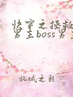 快穿之拯救黑化男主boss男主