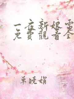 一夜新娘电视剧免费观看全集