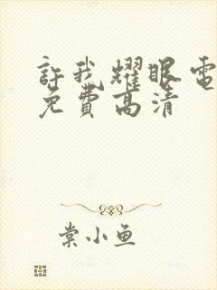 许我耀眼电视剧免费高清