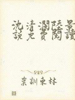 沈清澜陆景沉小说免费阅读最新章节更新