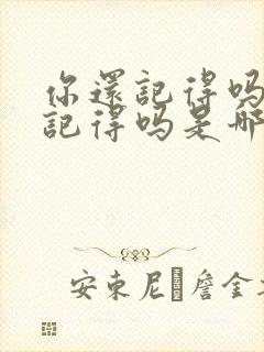 你还记得吗你还记得吗是哪首歌的歌词