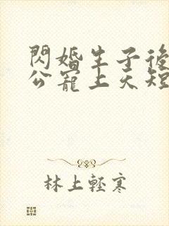 闪婚生子后被老公宠上天短剧免费看