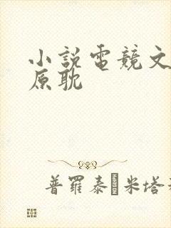 小说电竞文推荐原耽