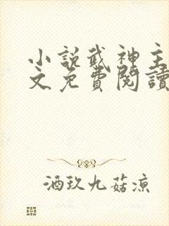 小说武神主宰全文免费阅读免费