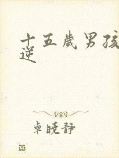 十五岁男孩子叛逆