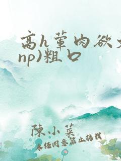 高h荤肉欲文(np)粗口