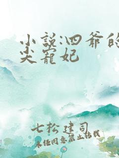 小说:四爷的心尖宠妃