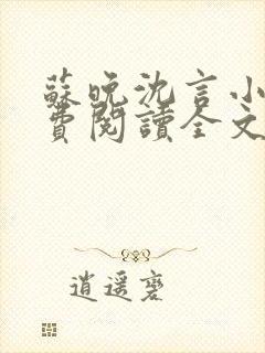 苏晚沈言小说免费阅读全文无弹窗