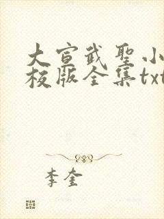 大宣武圣小说精校版全集txt