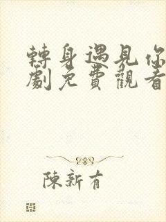 转身遇见你电视剧免费观看全集