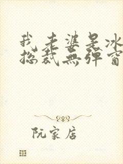 我老婆是冰山女总裁无弹窗