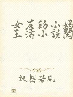 女友的小妈妈凤王涛小说阅读