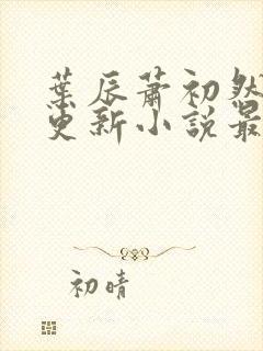 叶辰萧初然最快更新小说最新