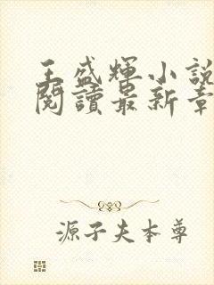 王盛辉小说免费阅读最新章节更新