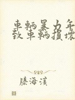 车辆暴力年检导致车辆损坏怎么处理