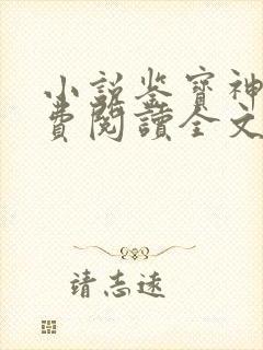 小说鉴宝神瞳免费阅读全文