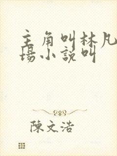 主角叫林凡的官场小说叫