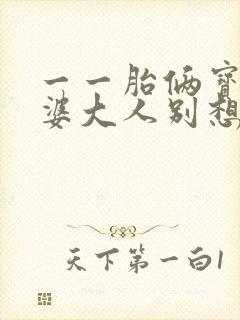 一一胎俩宝,老婆大人别想逃