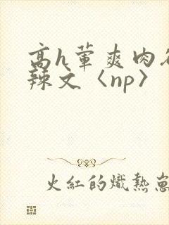 高h荤爽肉欲文辣文〈np〉