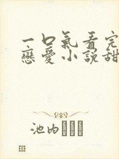 一口气看完校霸恋爱小说甜文