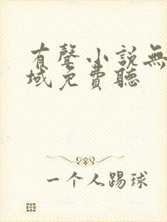 有声小说无敌剑域免费听