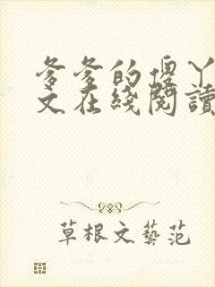 爹爹的傻丫头全文在线阅读小说