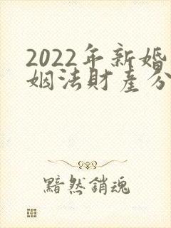 2022年新婚姻法财产分割