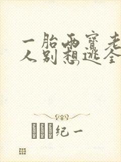 一胎两宝老婆大人别想逃全文免费阅读