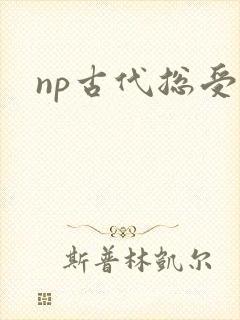 np古代总受