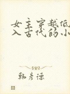 女主穿越低调融入古代的小说