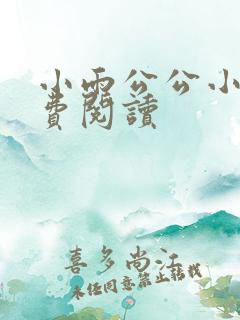 小雨公公小说免费阅读