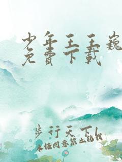 少年王王巍小说免费下载